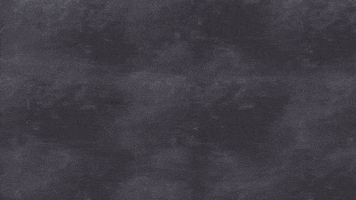 Liveinlevis GIF