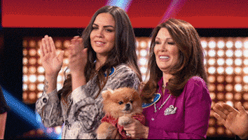 celebrity family feud applause GIF by ABC Network