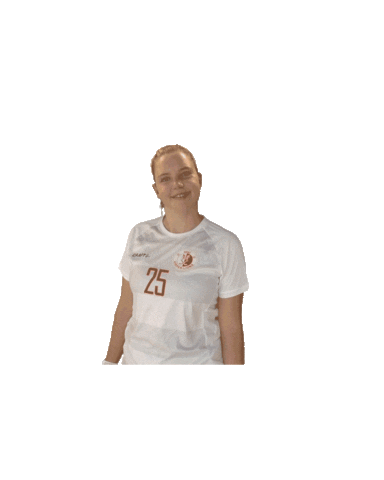 UHC Visper Lions Sticker