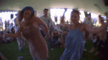 Crowd Dancing GIF by Coachella