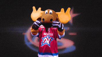 marty moose GIF by Newcastle Northstars