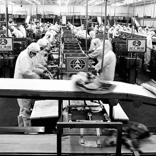 workers in a shoe company