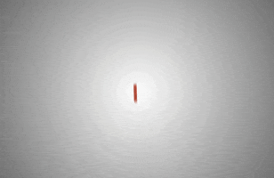 Geboes GIF