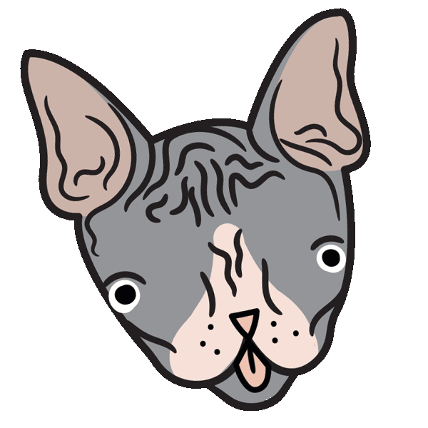 Hairless Cat Wink Sticker by Stay Home Club for iOS & Android GIPHY