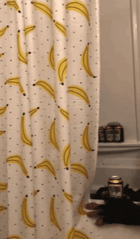 Beer Monkey GIF by Straight to Ale