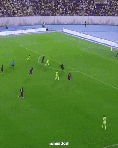 Peter Duhok GIF