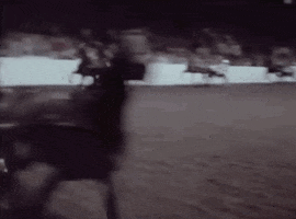 Horse Racing GIF by Archives of Ontario | Archives publiques de l'Ontario