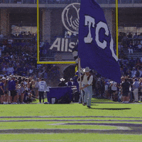 Celebration Flags GIF by TCU Football