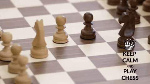 Chess GIFs - Get the best GIF on GIPHY