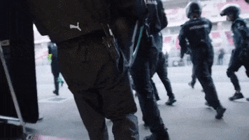 200.gif?cid=fc005b08b4430cf3cb640c9ce805d8153896ee85655c40af&rid=200.gif&ct=g