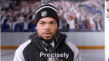 Ice Hockey Agree GIF by NHL