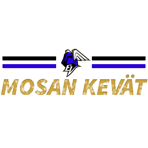 Floorball Salibandy Sticker by EräViikingit