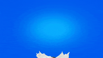 Oreo Brasil GIF