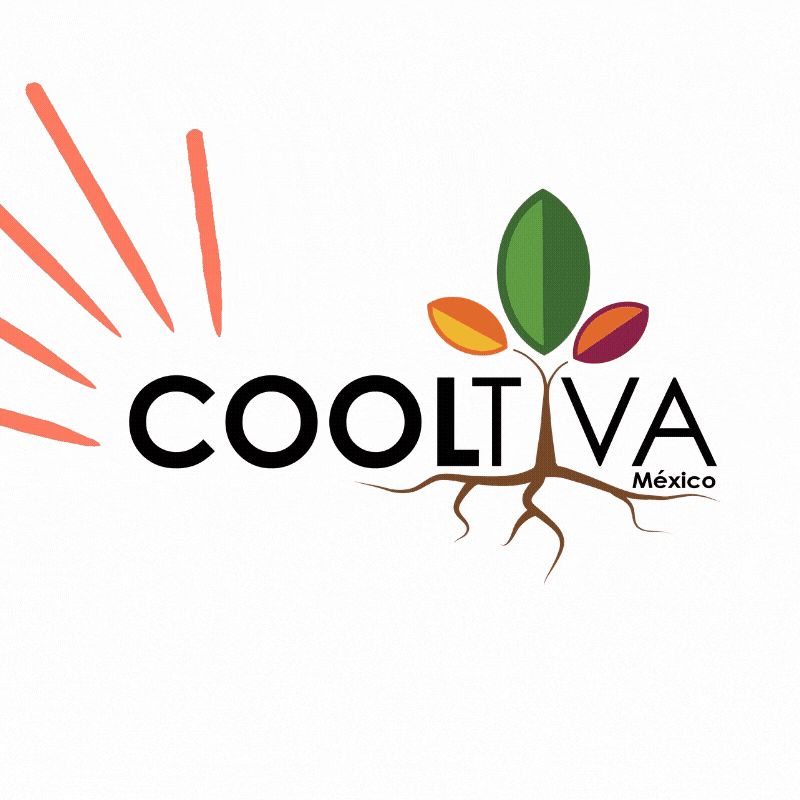 Cooltiva México GIF