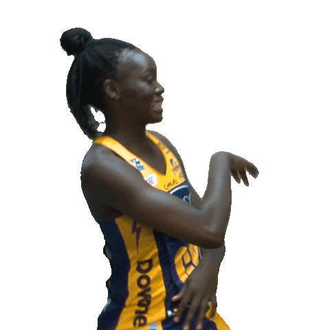 Netball Sticker by Sunshine Coast Lightning