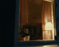 Pantamera GIF
