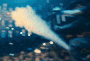 cachaus GIF