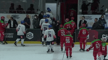 Game End GIF by Champions Hockey League