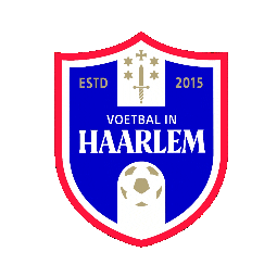 Voetbal in Haarlem Sticker