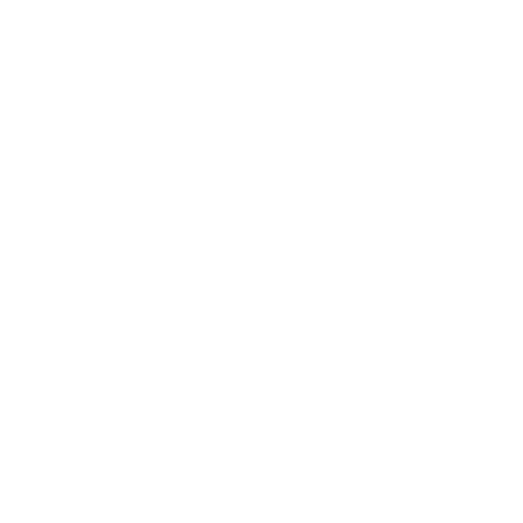 Worldskills México Sticker