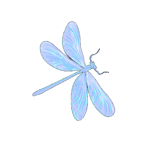 Dragonfly Sticker