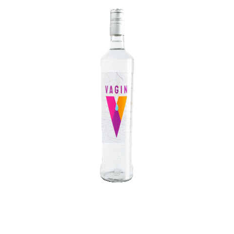 V4gin Sticker