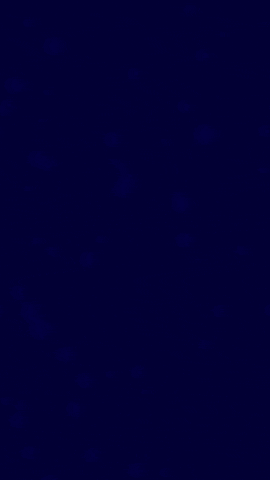 Dark Blue Background GIF by Dark Mark