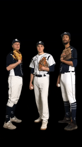 Baseball Players Pitcher GIF by Collecchio Baseball Softball