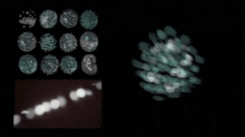 Circle Passing GIF by Yin Anthony