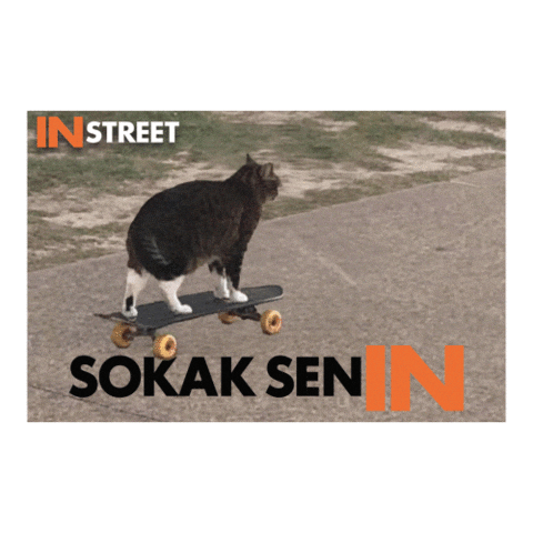 IN STREET Sticker