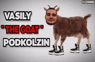 Edmonton Oilers Hockey GIF