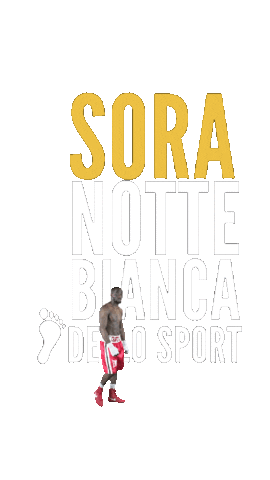 Sora Bianca Sticker by Champion Training Sanda Martial Art