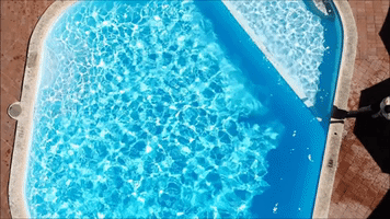 GIF by Indian Ocean Hotel