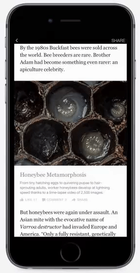 GIF by Instapage