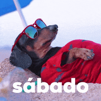 Feliz Sabado GIF by Sealed With A GIF