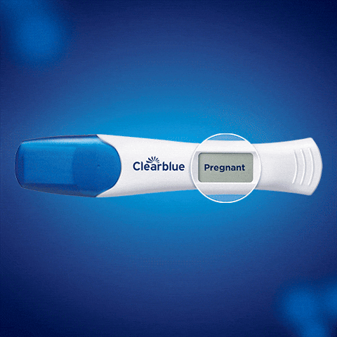Pregnancy Test GIFs Find & Share on GIPHY