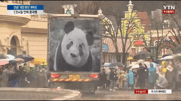 Roh 노무현 GIF