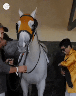 GIF by World Horse Racing