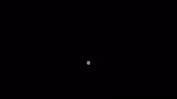 Bsp GIF by BlankSquareproductions