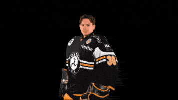 Pancur GIF by EV Füssen