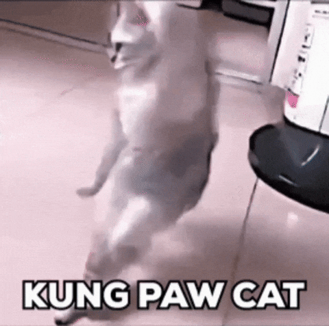 Kung Fu Car GIF