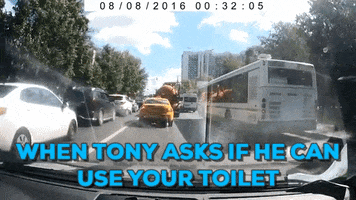 summercollider tony da costa GIF