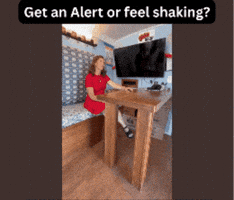 GIF by Disaster Ready Washington