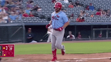 GIF by Springfield Cardinals