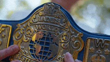 World Champion Wrestling GIF by DARK SIDE OF THE RING