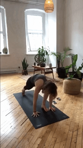 Animated GIF