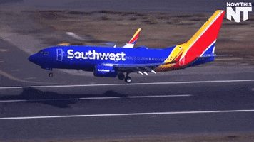 plane landing GIF by NowThis