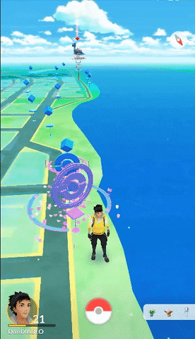 1306950  GIF