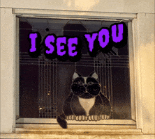 I See You GIF