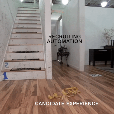 Fail GIF